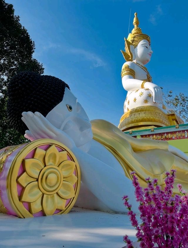 🐊 Wat Paichorake – The Crocodile Temple of Wonder