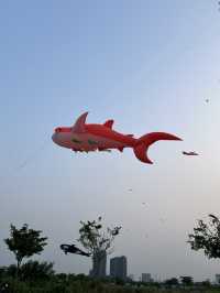A fantastic festival in Ho Chi Minh 