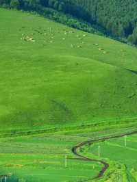 Zhangbei Grassland Sky Road: A Drive Above the Clouds