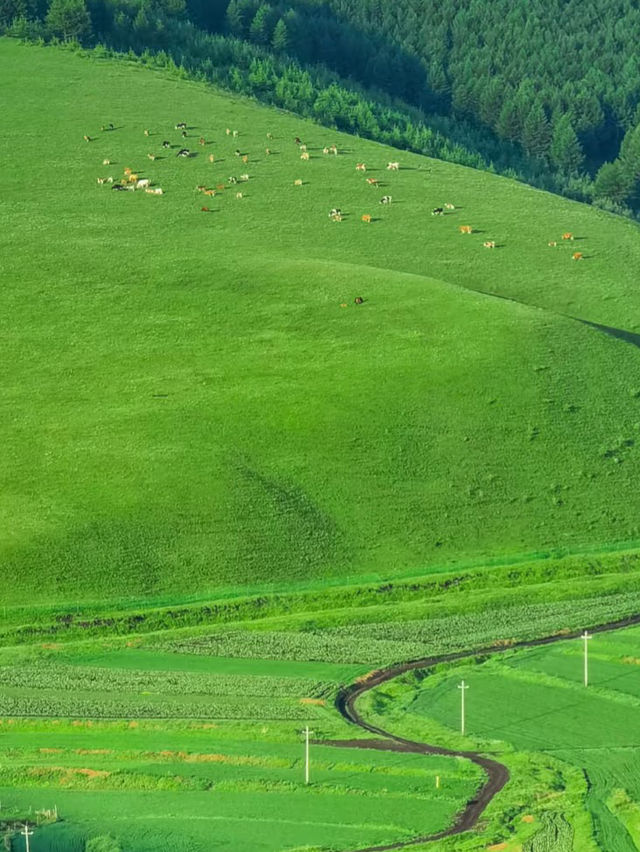 Zhangbei Grassland Sky Road: A Drive Above the Clouds