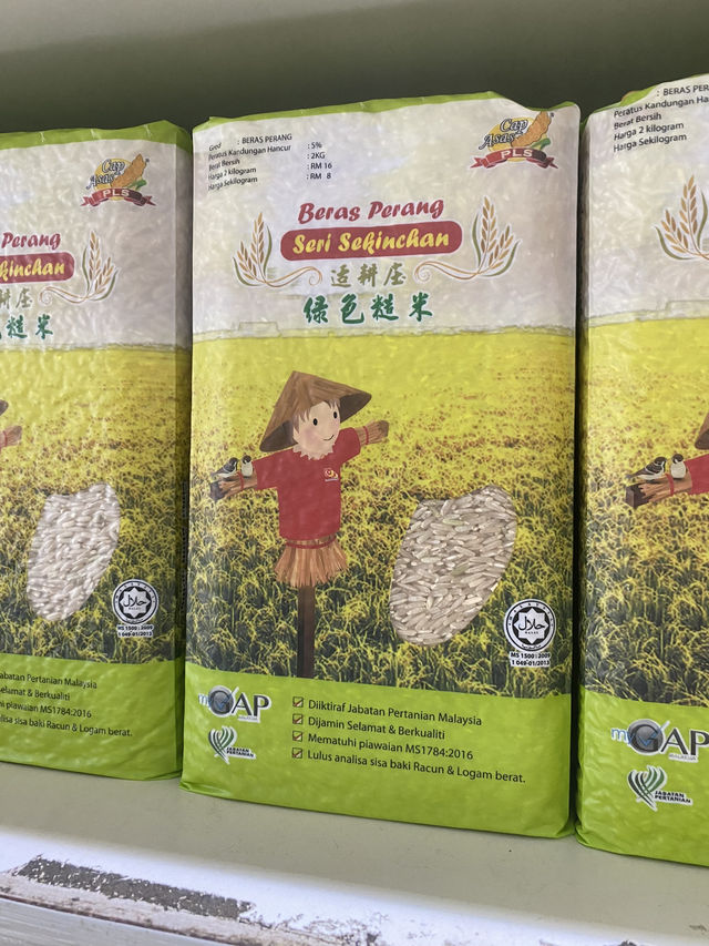 Paddy Fields Review: Discover the Rice Fields of Sekinchan, Malaysia