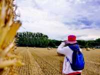 Summer holiday in Wingham, UK