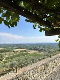 My wine tasting experience in Tuscany’s vineyard Castello Di Cacciano