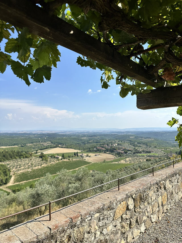 My wine tasting experience in Tuscany’s vineyard Castello Di Cacciano