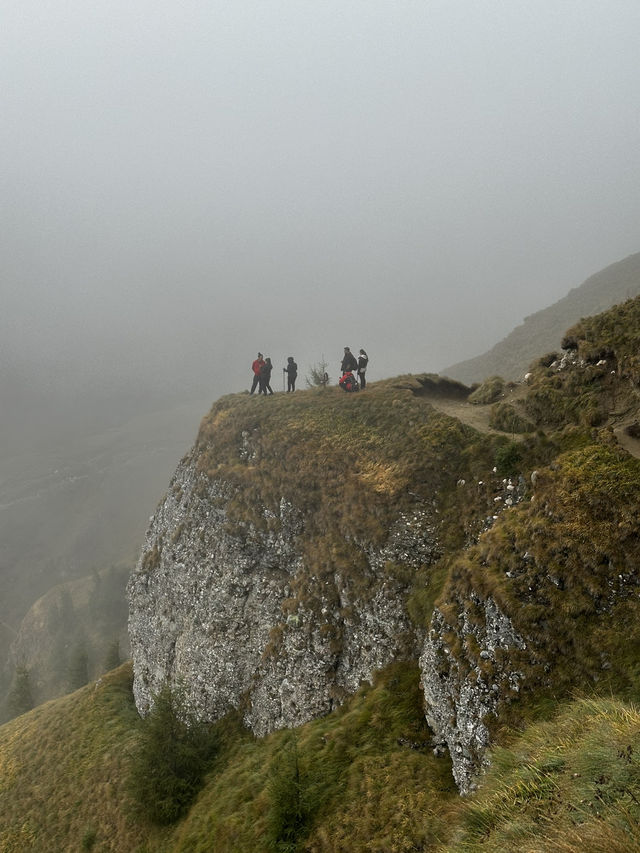 Escape into nature just an hour from the Bucharest? 🏔️