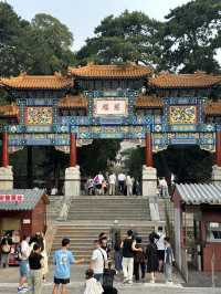 Best view of summer palace 