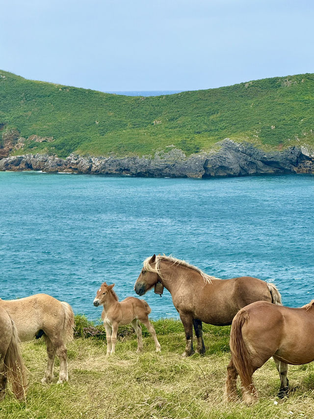 Coastal Charm
