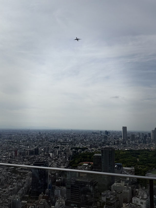 Urban Views in Tokyo🏙️