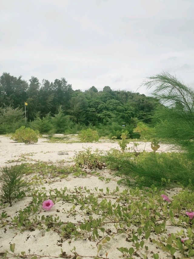 🏝️Мечта наяву: 2 дня блаженства на островах Пхи-пхи и Джеймса Бонда