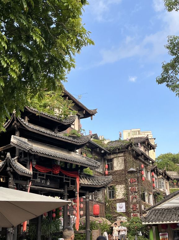 Hidden Shenzhen🌿🧋🍲🧧