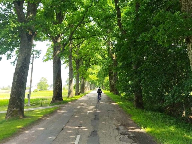 Lithuania's Oldest Water Gauge: Europe's 3rd Oldest Still-Operating Station! Lithuania's Oldest Water Gauge: Europe's 3rd Oldest Still-Operating Station!