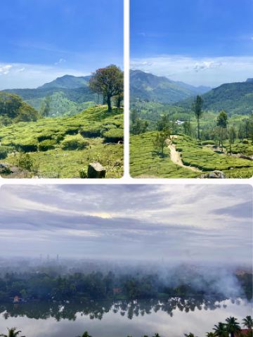 The Scent of Cardamom