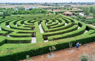 You have never seen such a labyrinth!