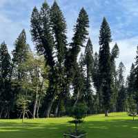Top five attractions of Xiamen you can’t miss
