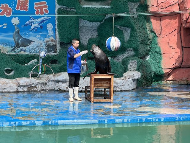 타조와 아이컨택이 인상적이었던 곳, 연화동물원(煙合動物園)