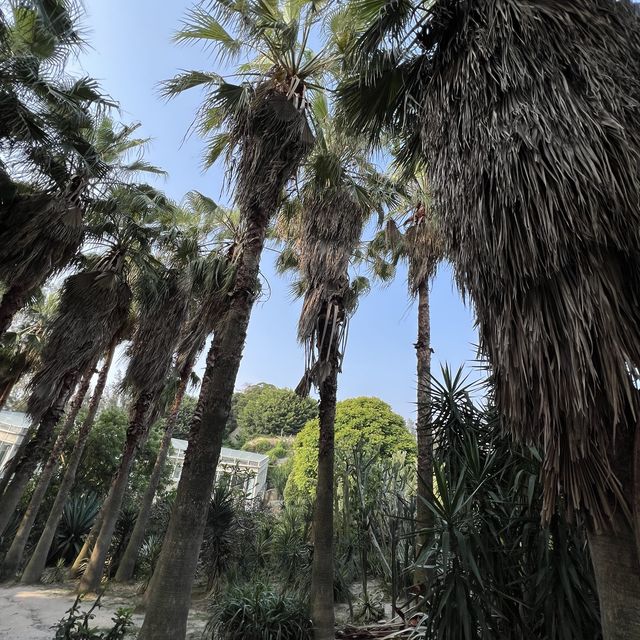 廈門植物園