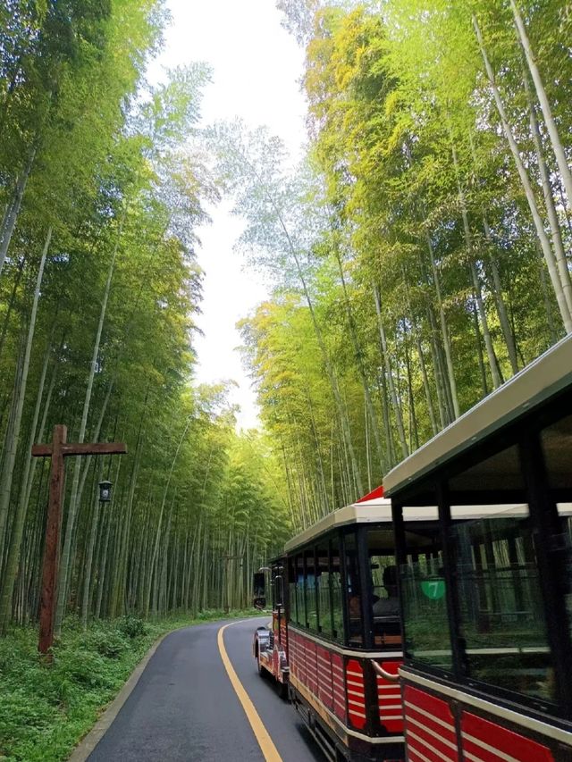 ☀️☀️Tianmu Lake, Jiangsu🔆🔆