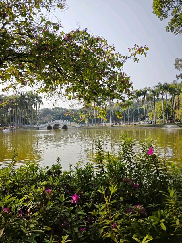 "White Dragon Park"- People's Park