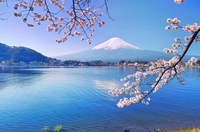 富士山下五大人氣景點！
