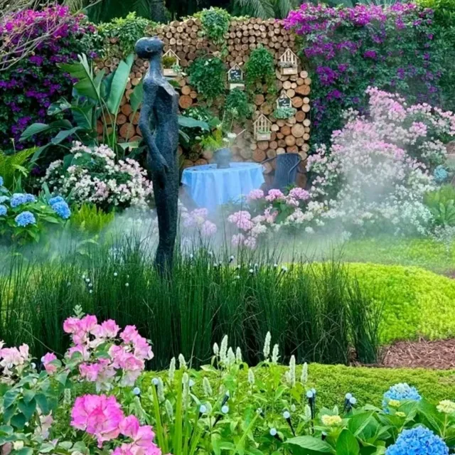✨深圳~蓮花山公園🌺✨