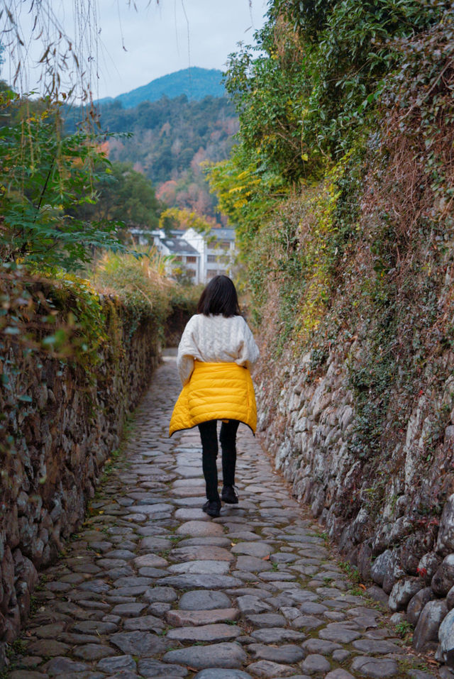 初冬的嶼北,在質樸之外,是斑斕的色彩 初冬的嶼北,在質樸之外,是斑斕的色彩