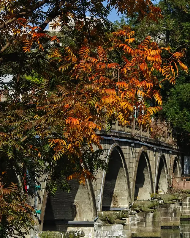 Wangjianglou Park in early winter