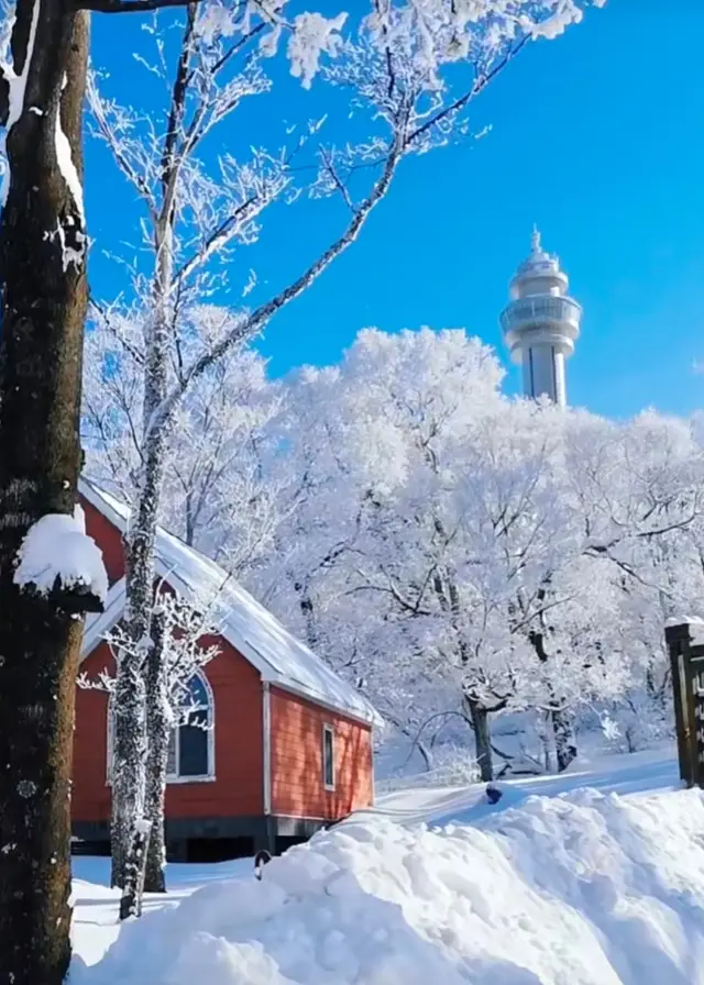 Jilin Tonghua Sifangdingzi | It's like being in a fairy tale world of ice and snow