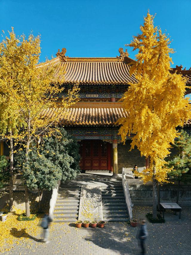 藏在灑金橋鬧市區的千年皇家古寺