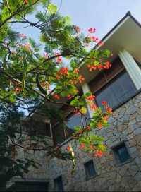 芽莊阿米亞娜度假村：熱帶天堂的絕美體驗
