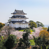 Find Serenity at Odawara Castle 🍵