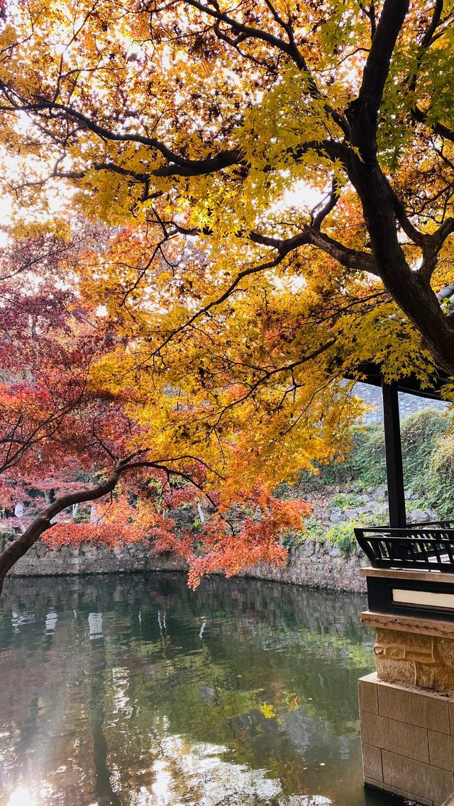 週末去哪兒——虞山風景美如畫