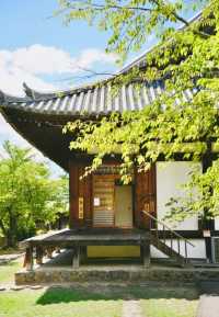 日本奈良東大寺｜有爭議的古建築