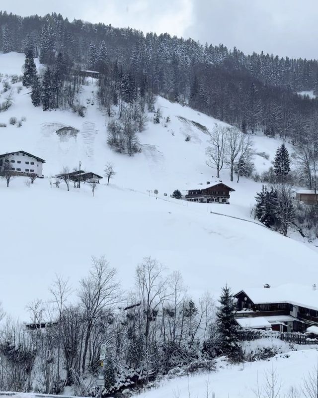 ❄️ Winter Wonderland: Embracing Snowy Days in Germany 🇩🇪☃️