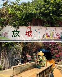 超好看的小海島啊！湛江南極村