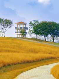 一次打卡4個公園，深圳這裡徒步太快樂了