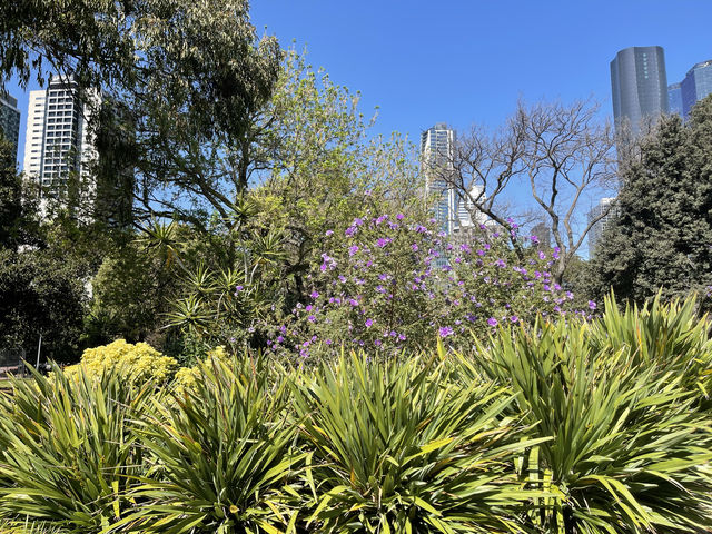 墨爾本旗杆花園