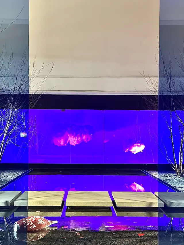 上海CITY WALK|夢幻浪漫的展