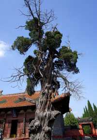 探討水之源，訪中原古代建築博物館，濟渎北海廟