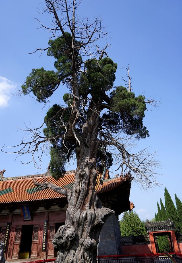 探討水之源，訪中原古代建築博物館，濟渎北海廟