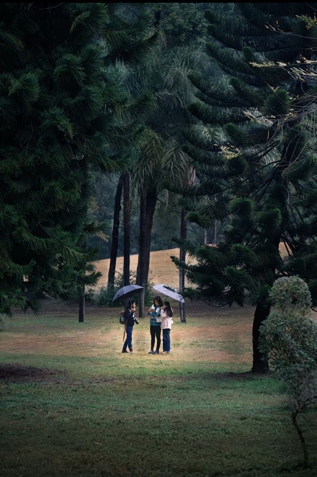 柳州龍潭公園攻略