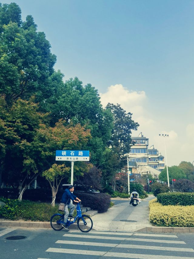 冬日漫遊東山公園，沒想到江南竟藏著這樣古色古香的小眾秘境