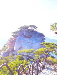 龜峰山