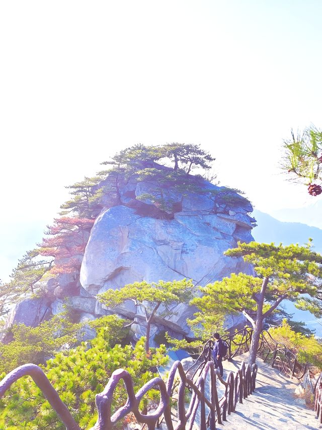 龜峰山