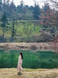 春遊記 沉醉在這一池碧水藍天中
