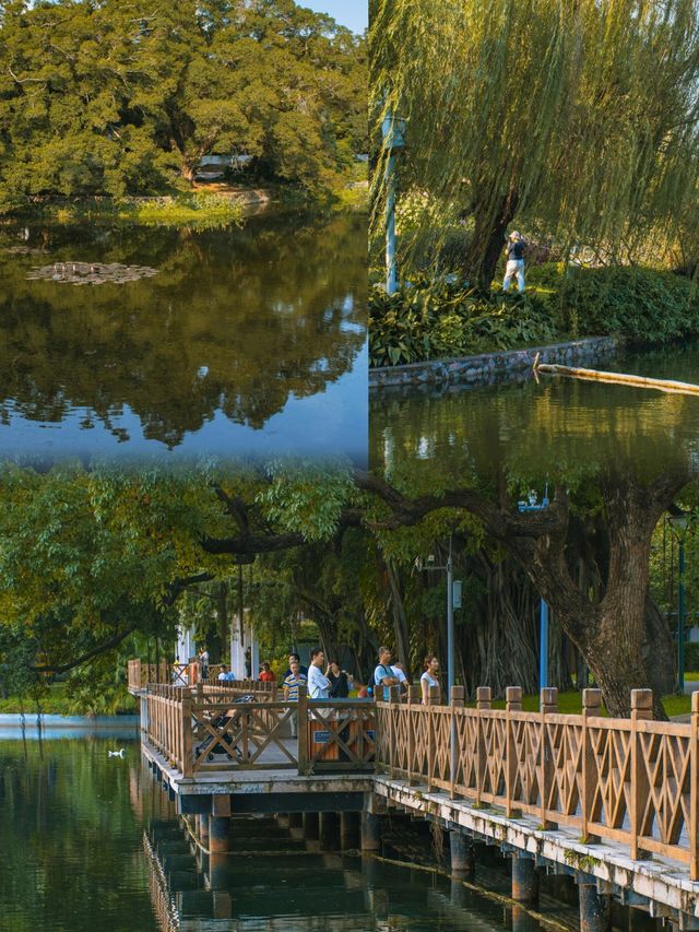 流花湖 | 我願稱之為廣州最浪漫的公園