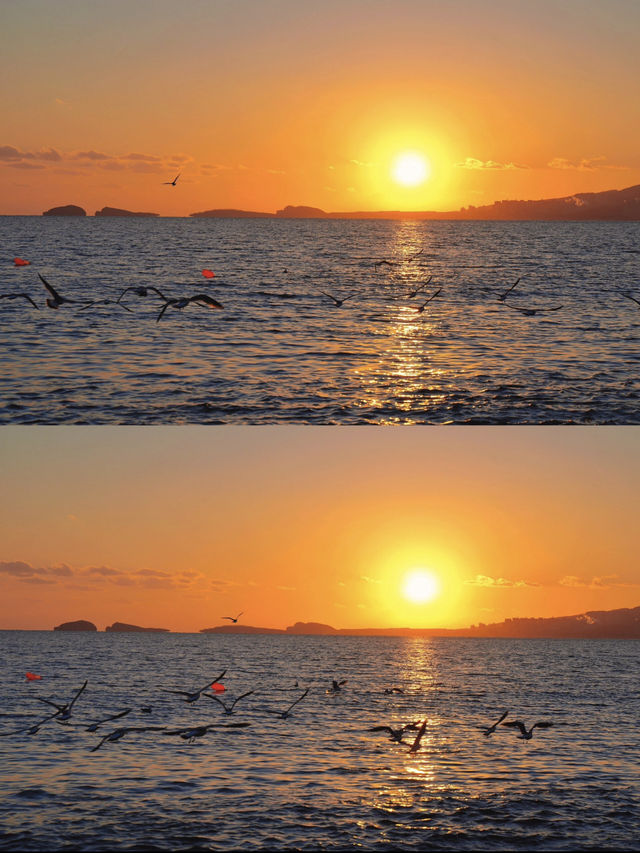 大連星海橋的冬日落日餘暉浪漫