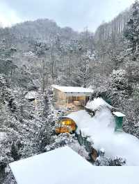 張萬森 青城山下雪啦