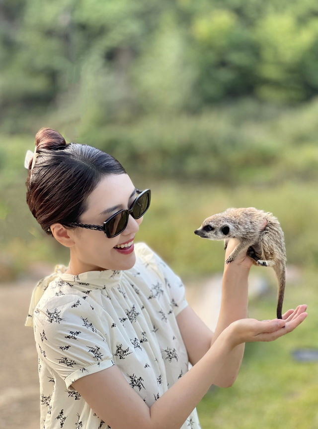 旅行｜私藏的天津北京周邊秘—熱河山谷