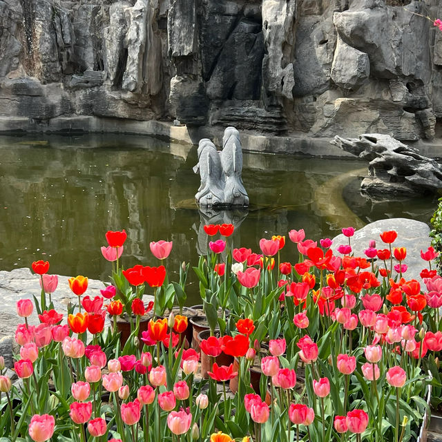 鄭州人民公園賞花——在春天感受美好