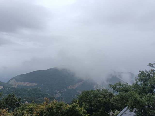 煙雨急行登嵩山